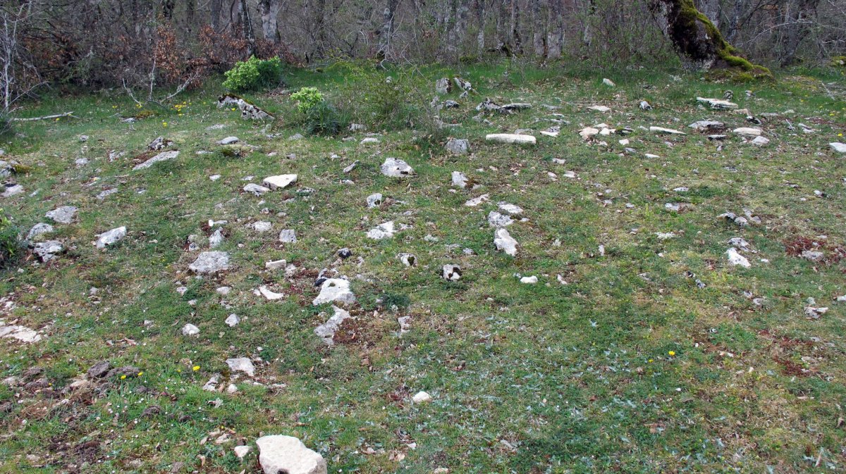 Martinleze 2 trikuharria, Goñi