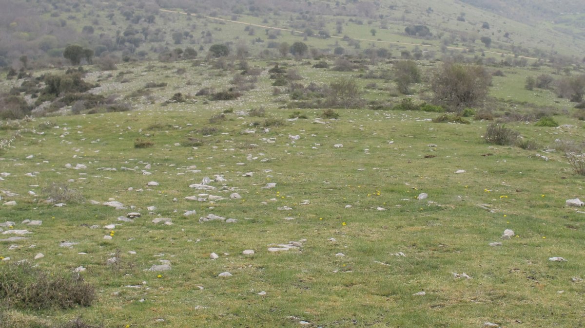 Txargain eraztun tumulua, Arteta-Ollo