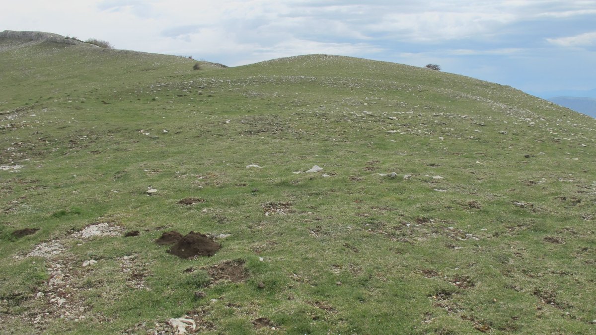 Peña Elordia eraztun.tumulua, Goñi
