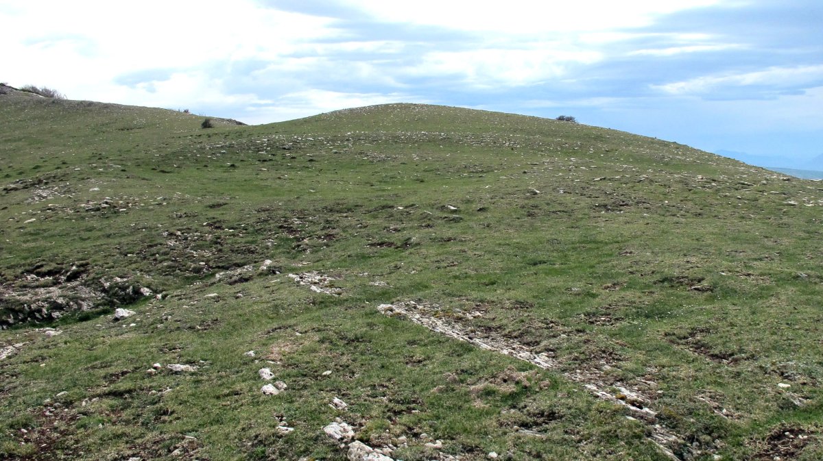 Peña Elordia eraztun.tumulua, Goñi