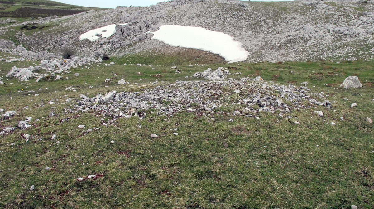 Peña Blanca 1 etxola hondoa, Andia