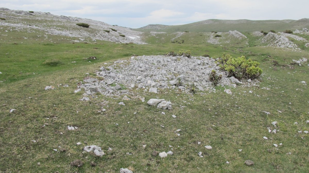 Peña Blanca 3 etxola hondoa, Andia