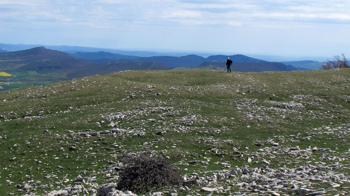 Altos de Goñi eraztun-tumulua, Goñi