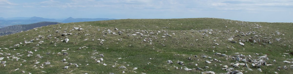 Altos de Goñi eraztun-tumulua, Goñi