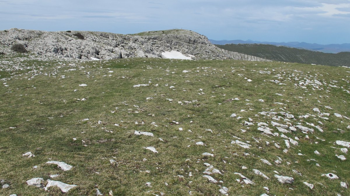 Altos de Goñi eraztun-tumulua, Goñi