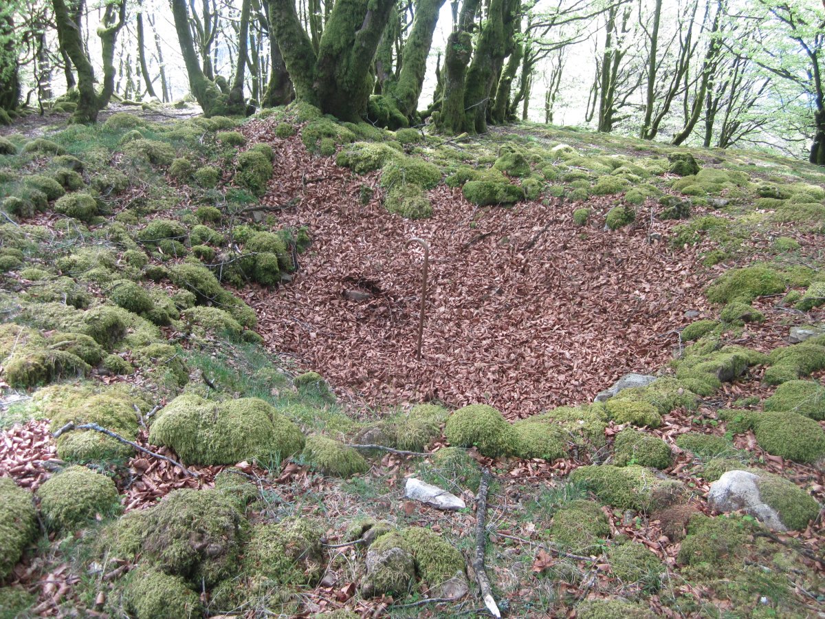 Túmulo Aizkoin   (Abril  2015)