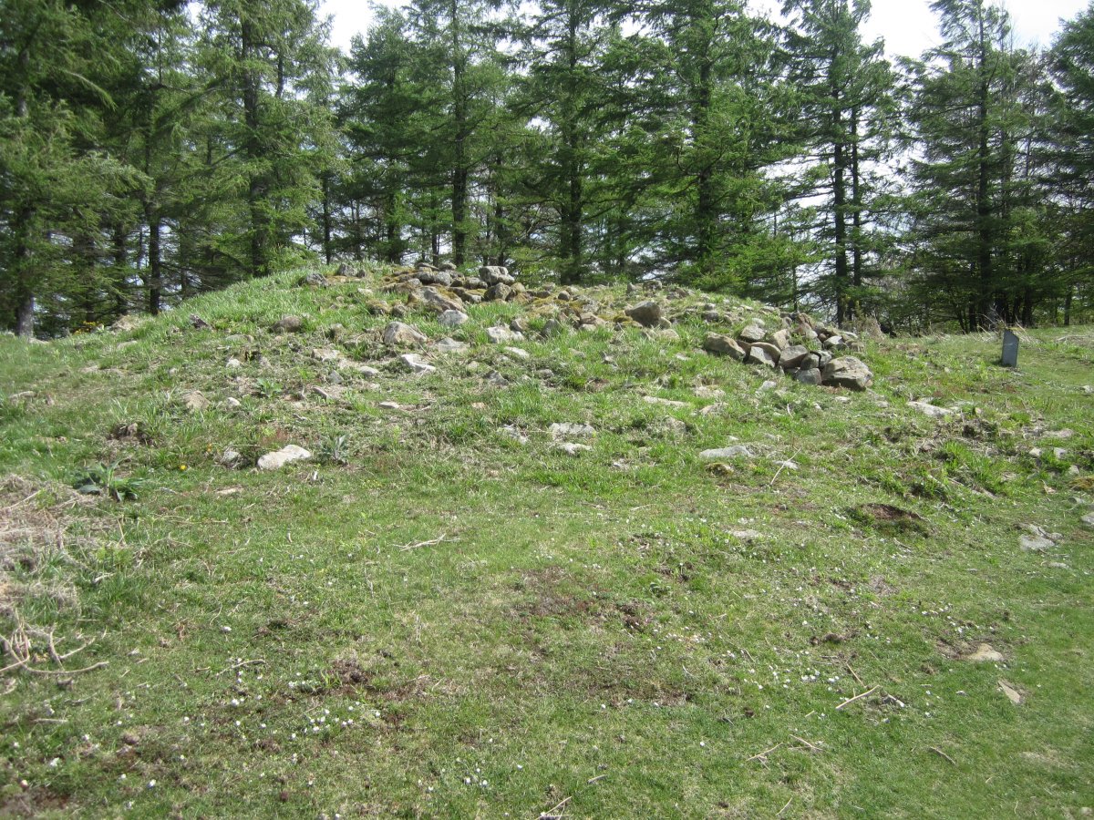 Túmulo Naasiko Goena   (Abril   2015)