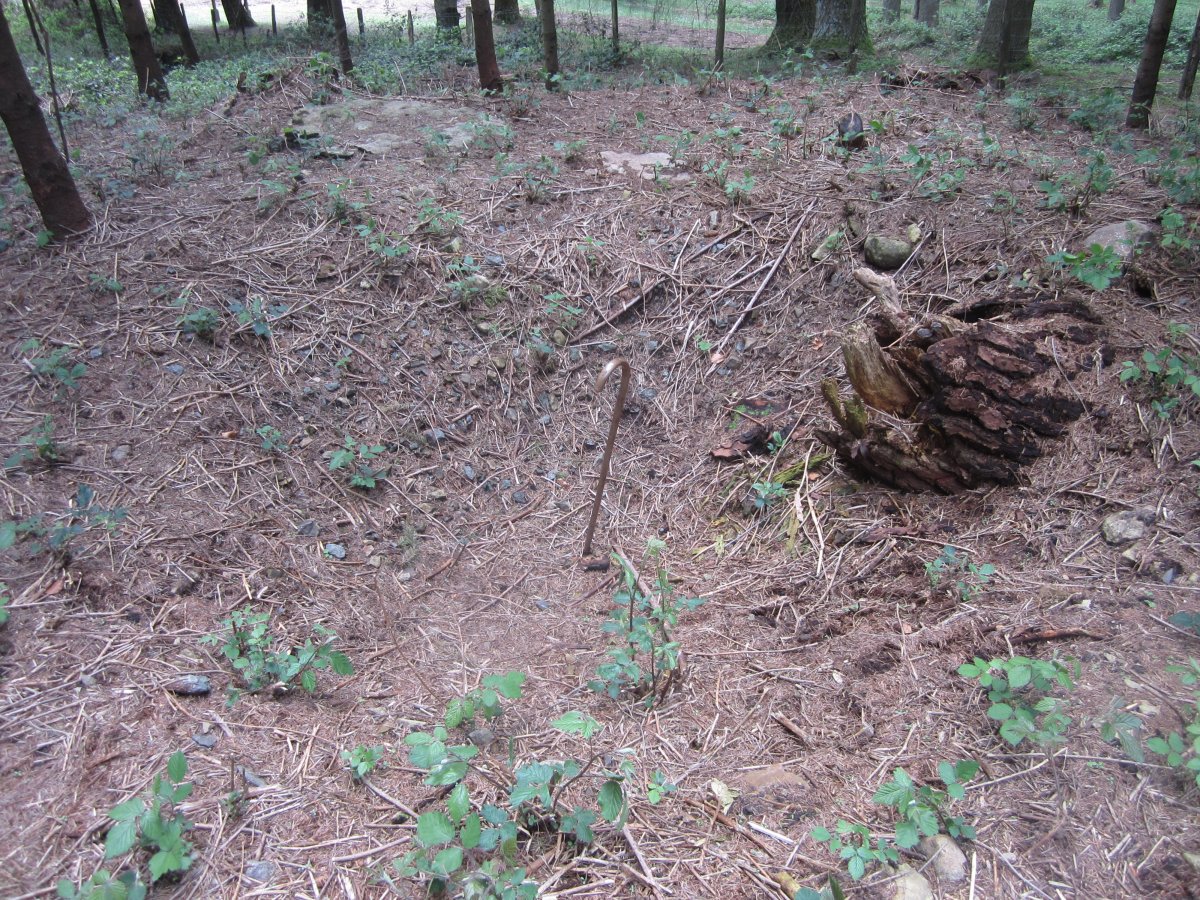 Túmulo Keixeta   (Abril   2015)