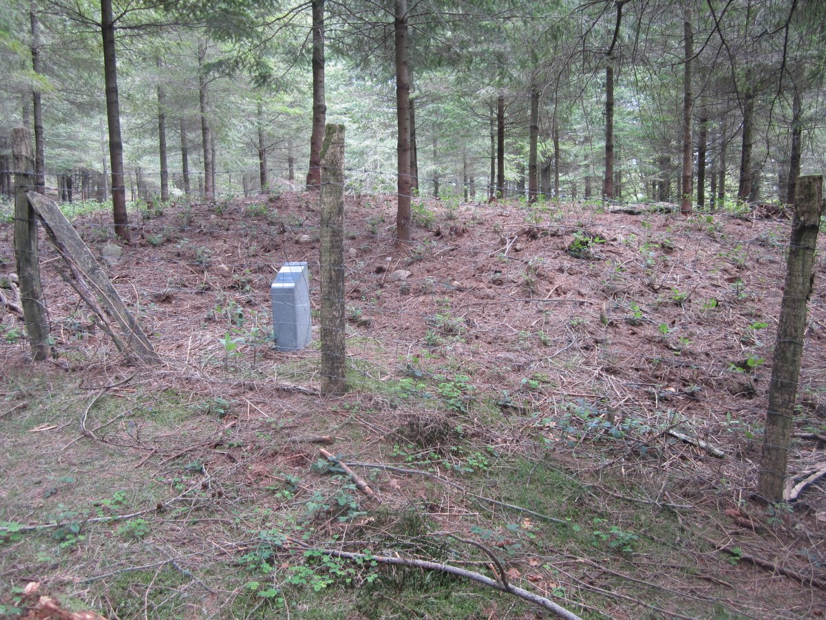 Túmulo Keixeta   (Abril   2015)