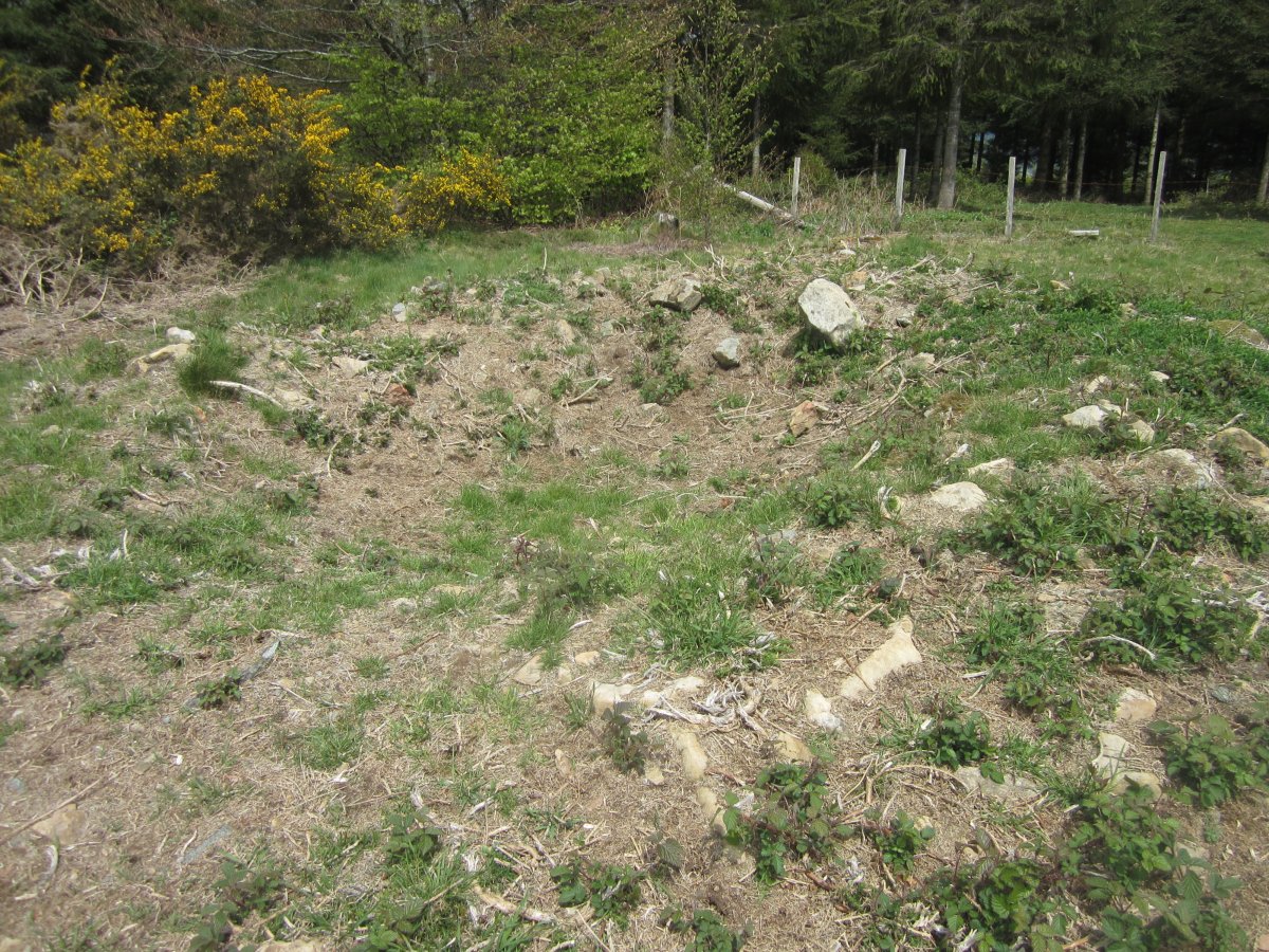 Túmulo Keixeyako Egiya Ipar (Abril 2015)