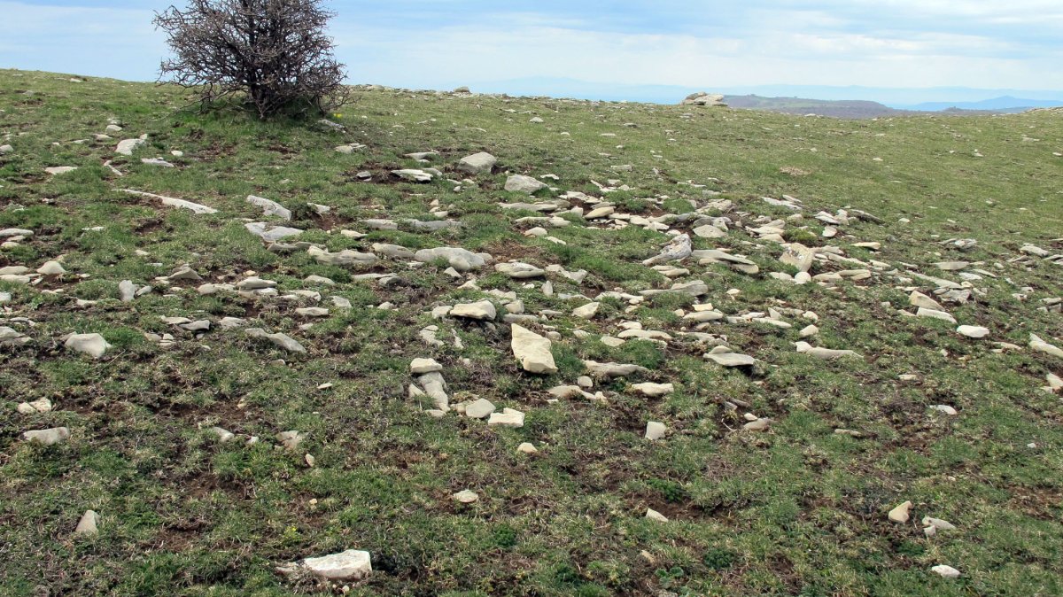 Peña Elordia 1 tumulua, Goñi