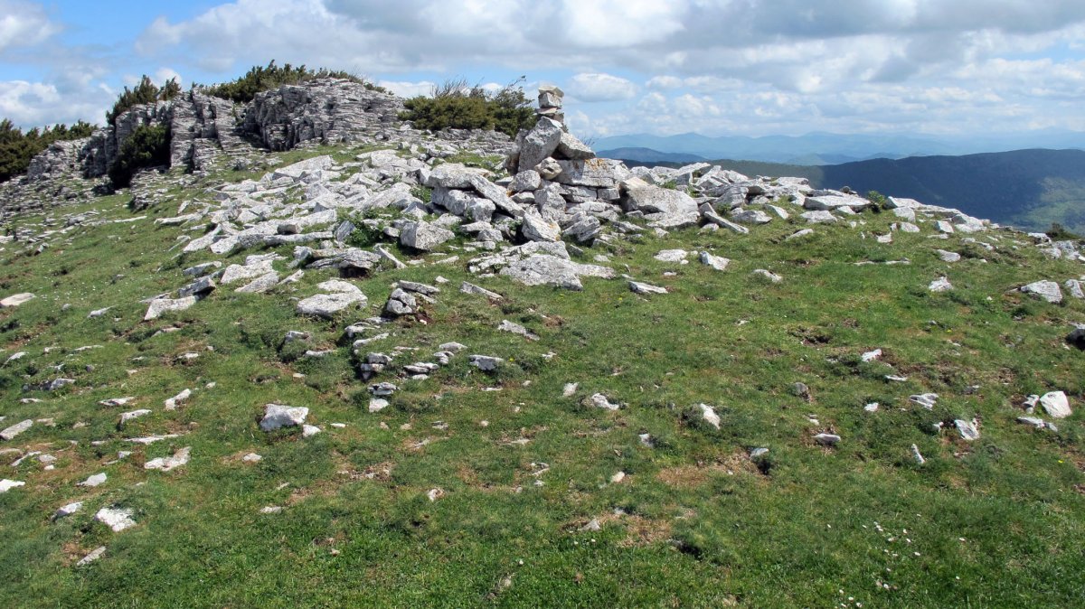 Irunsario txabola tumularra, Andia