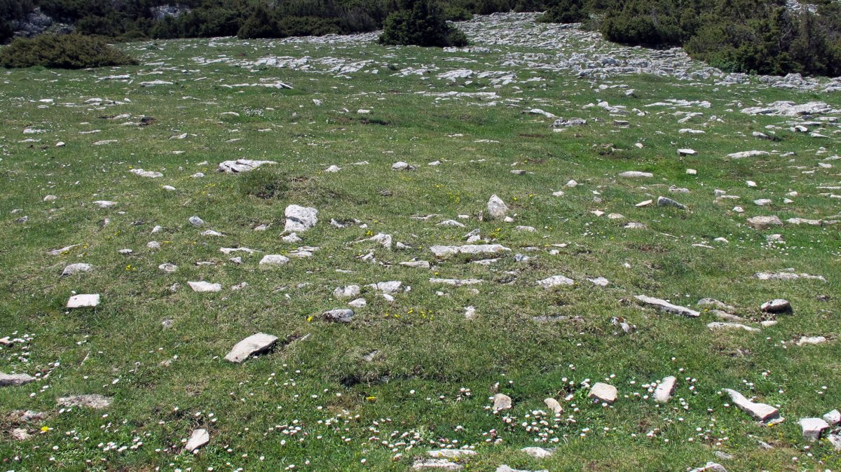 Irunsarioko bidea 2 ipar tumulua, Andia