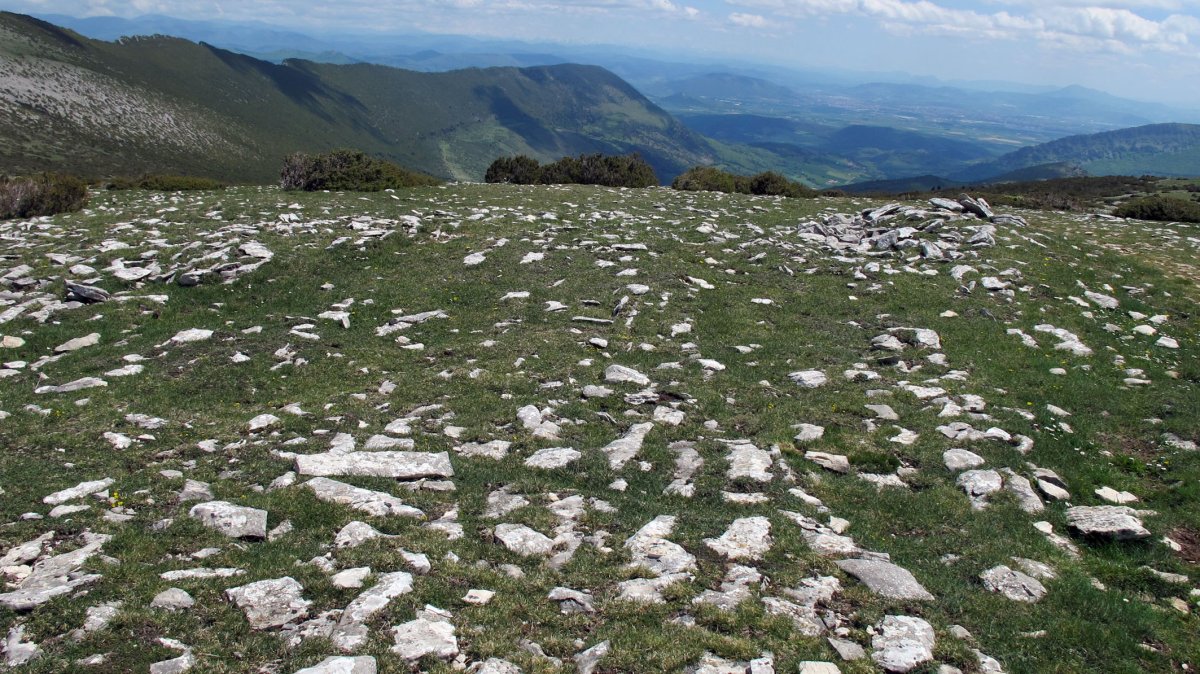 Ezpeleta 2 eraztun-tumulua, Andia