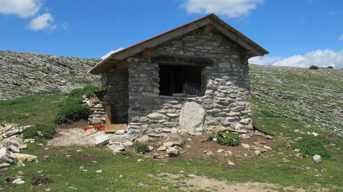 El Brinkulo 3 txabola tumularra (2015/05/06), Andia