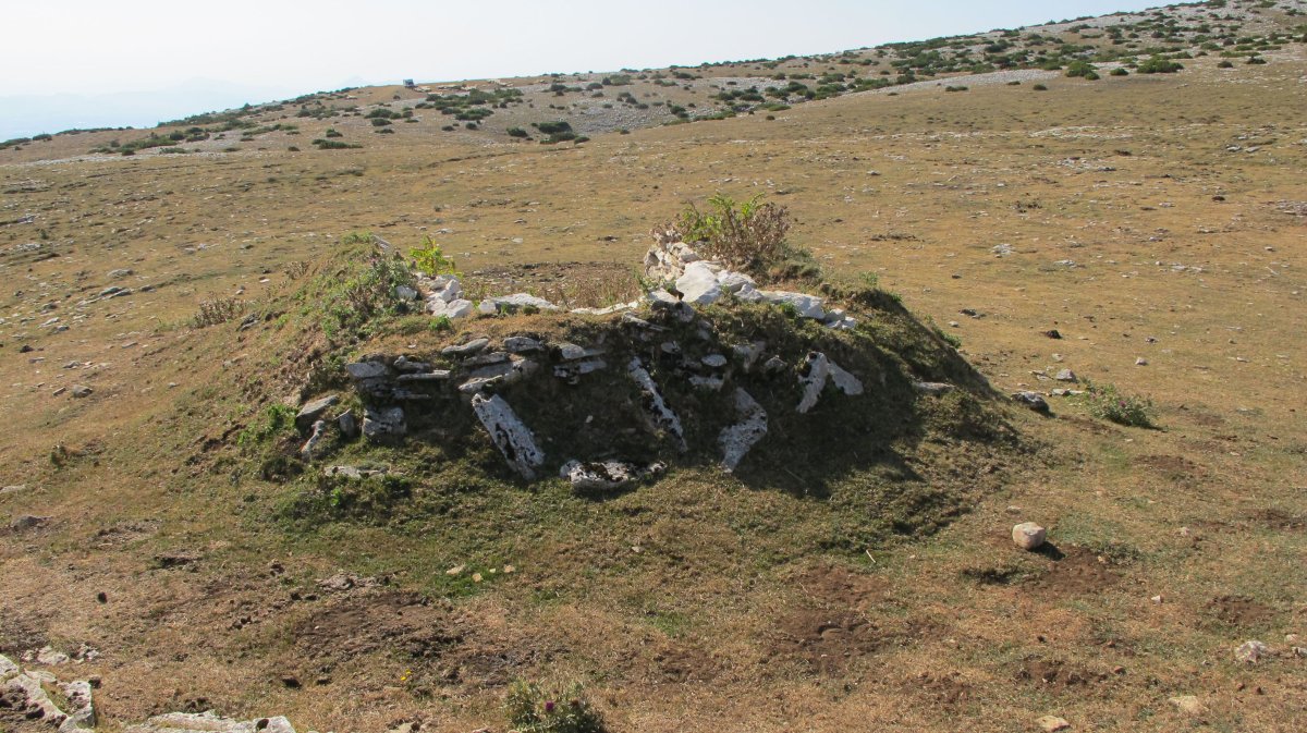 El Brinkulo 3 txabola tumularra (2012/08/09), Andia