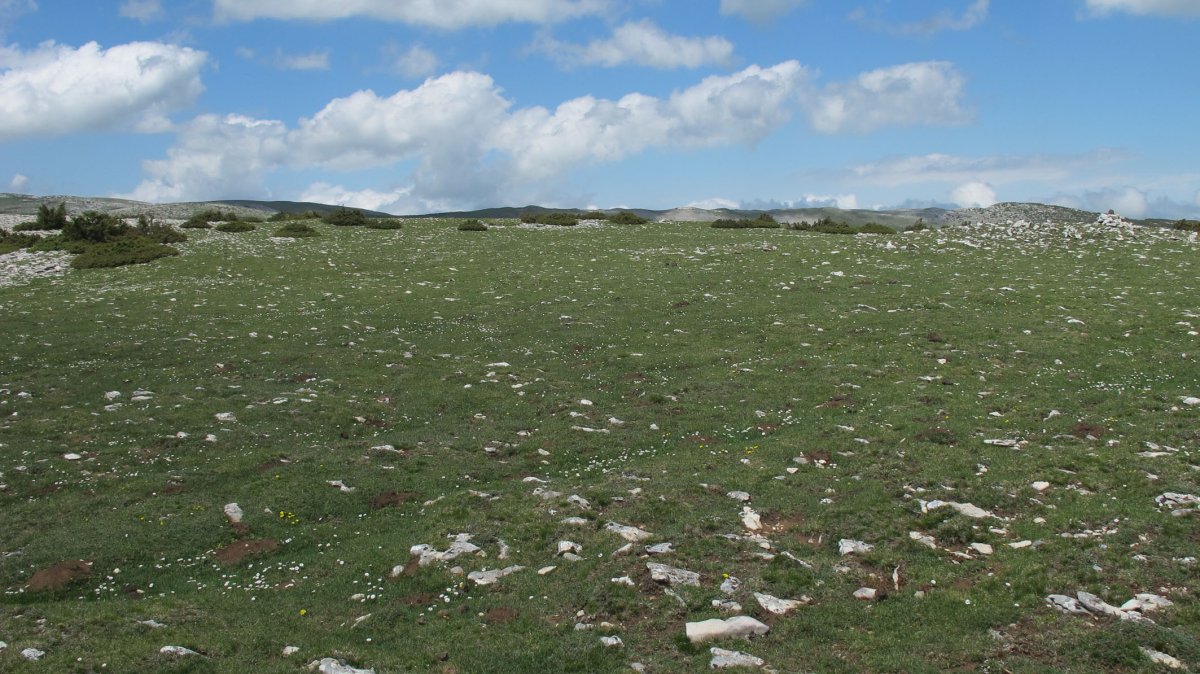 Trekua norte eraztun-tumulua, Andia