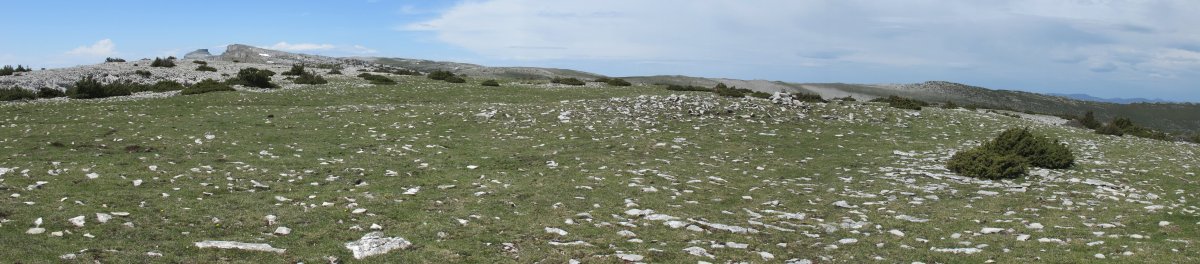 Trekua norte eraztun-tumulua, Andia