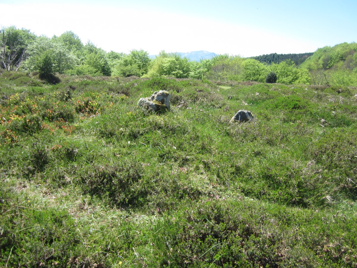 Dólmen Zabalandi-Anbotoste   (Mayo 2015)