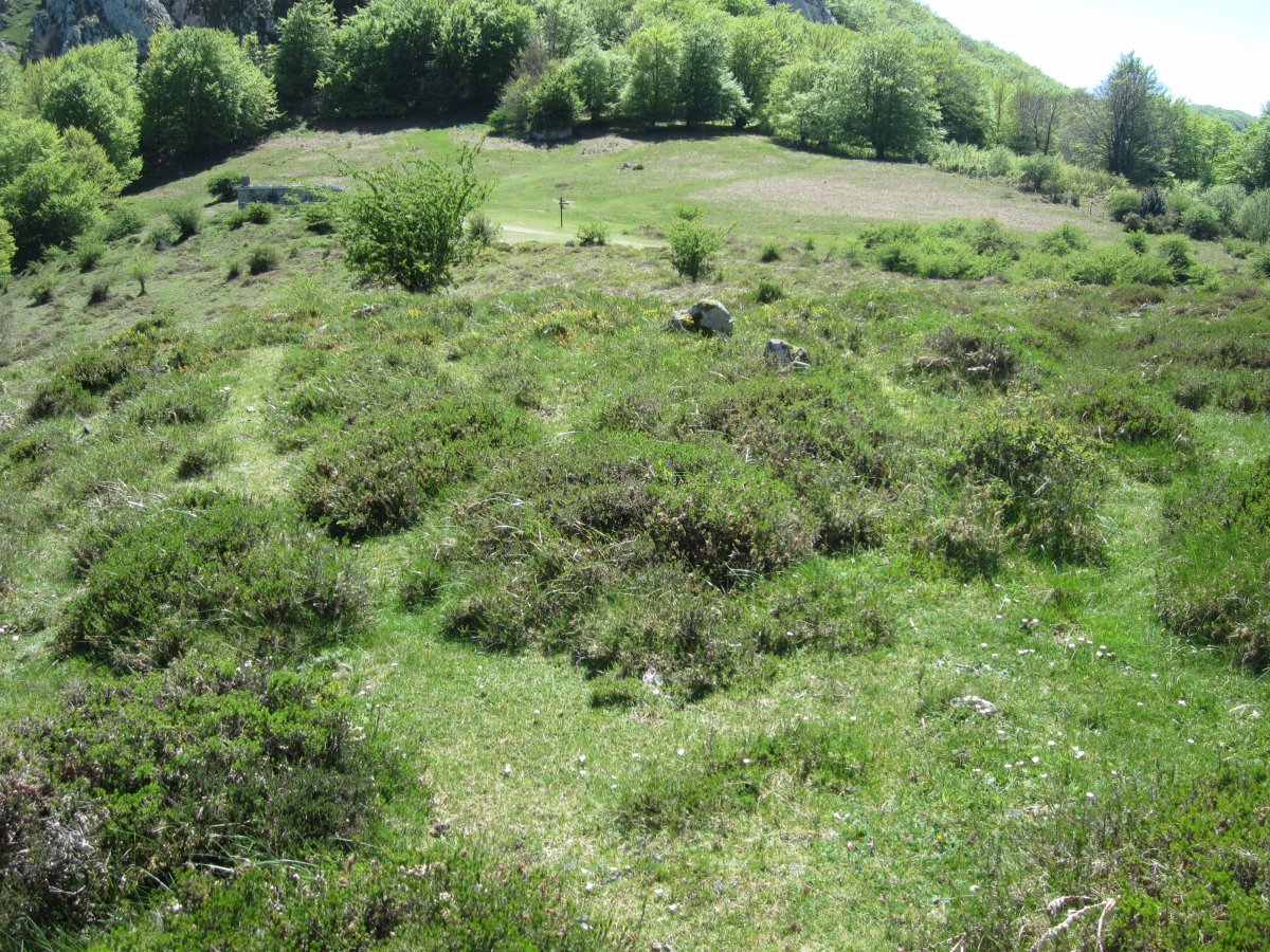 Dólmen Zabalandi-Anbotoste   (Mayo 2015)