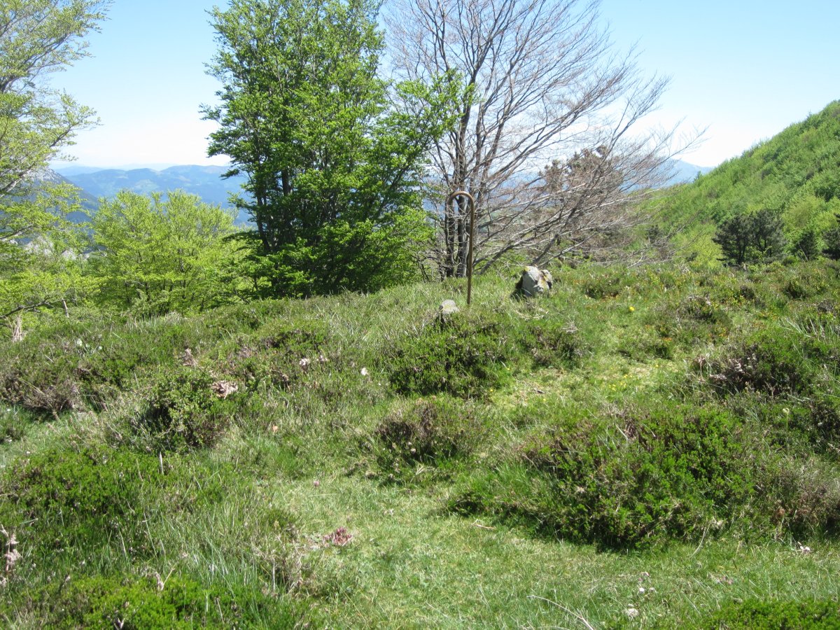 Dólmen Zabalandi-Anbotoste (Mayo 2015)