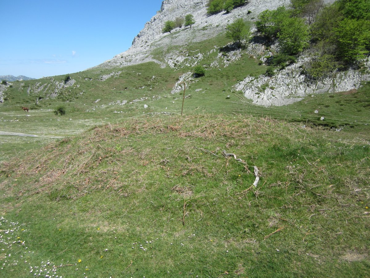 Túmulo Anbotopeko (Mayo 2015)