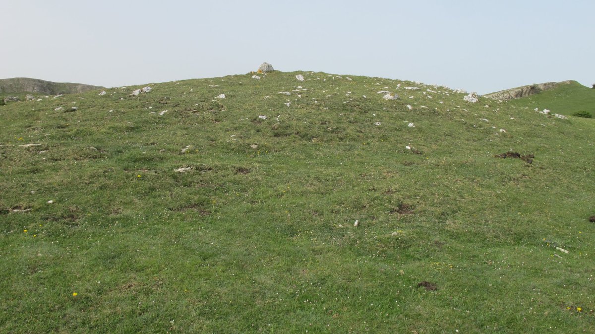 Sarasa Gañe trikuharria, Andia