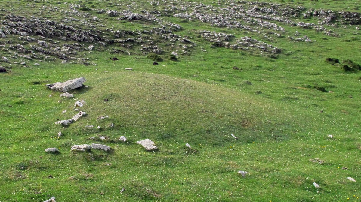 Sarasa Gañe etxola hondoa, Andia