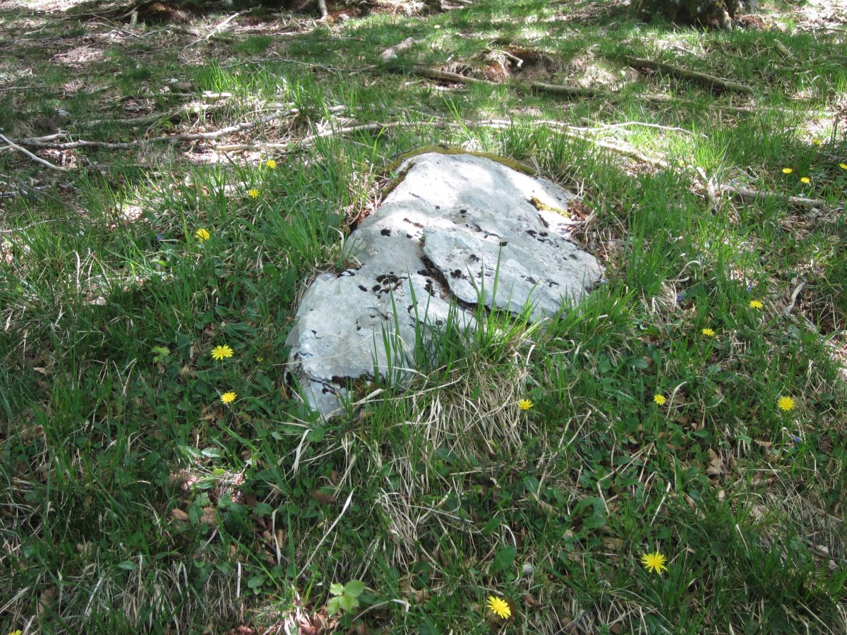 Monolito Aratzkasaroi   (Mayo  2015)