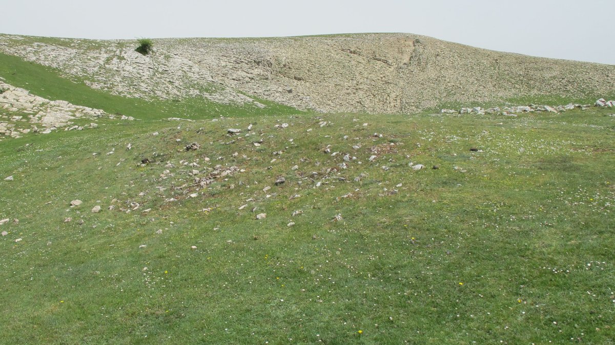 Zotolaundi 2 etxola hondoa, Andia