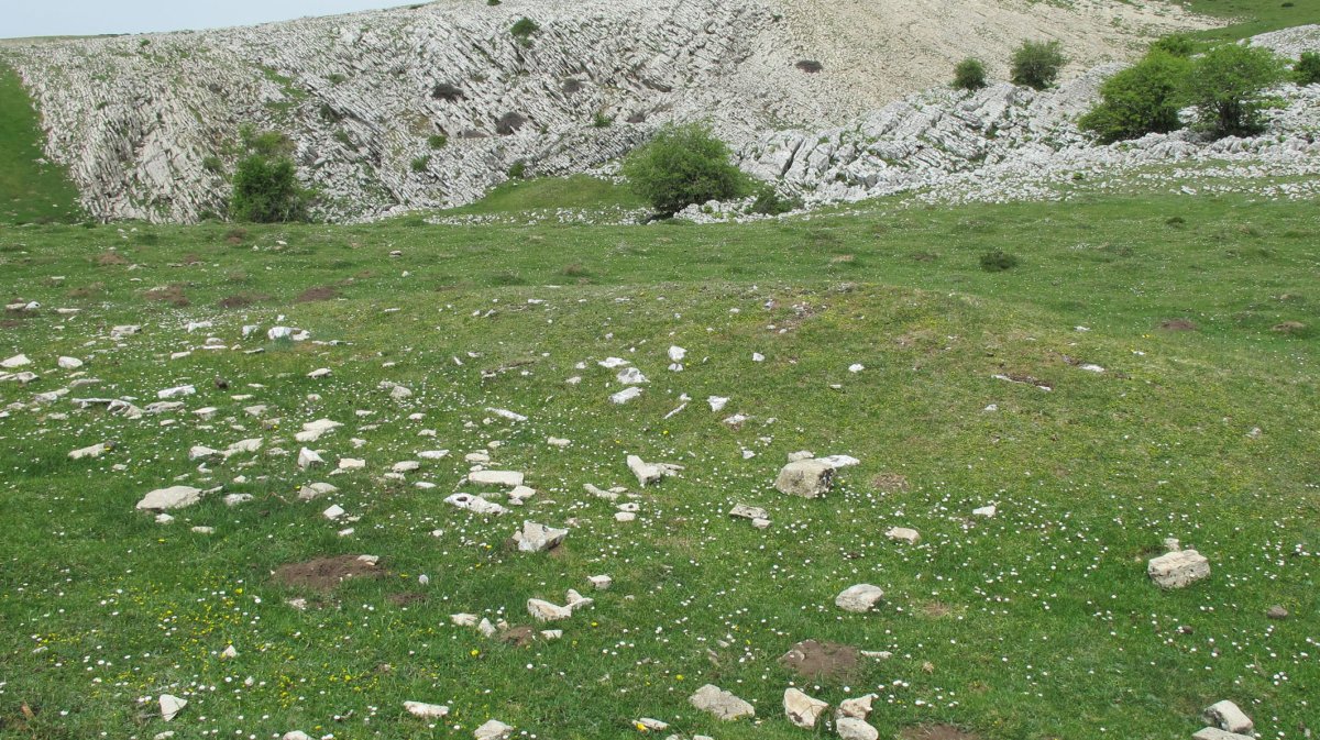 Goñiko bidea etxola hondoa, Andia