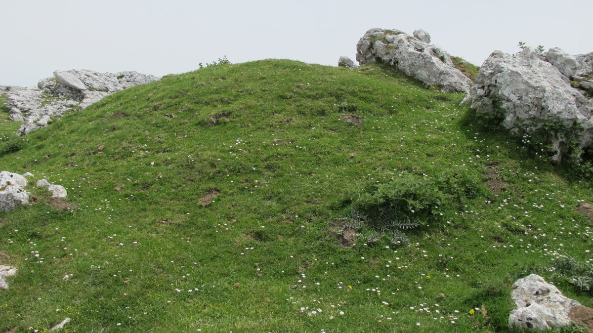 Peñablanca sarea txabola tumularra, Andia
