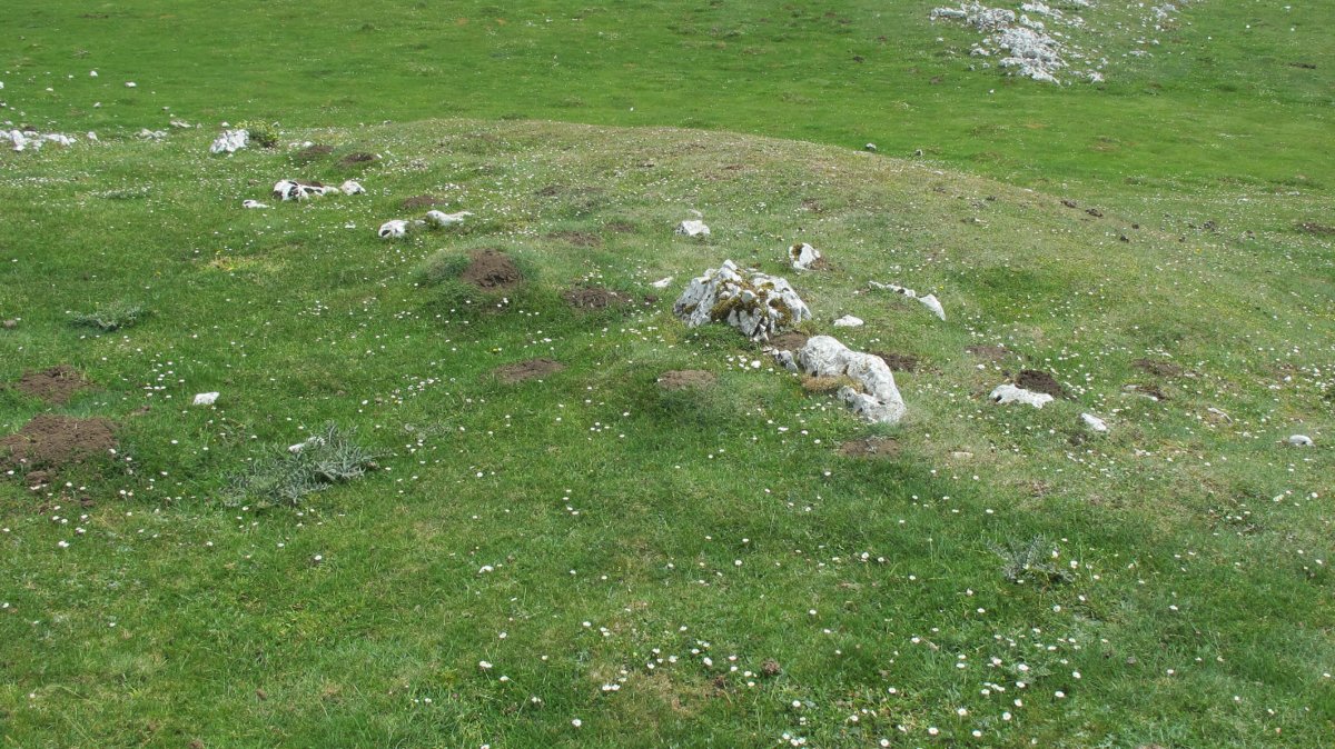 Peñablanca sarea etxola hondoa, Andia