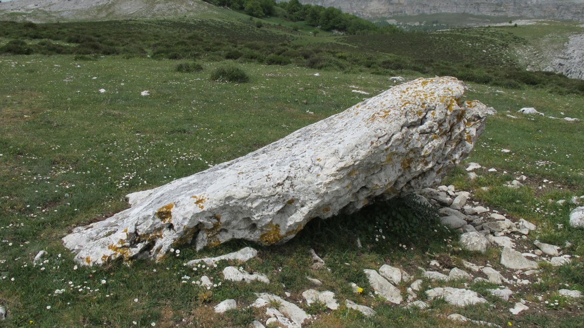 Elordiko Harria zutarria, Andia