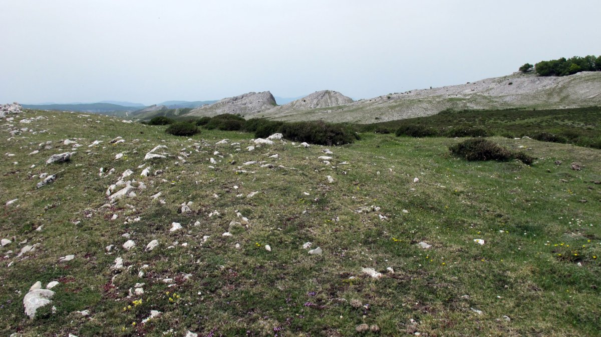 Elordi eraztun tumulua, Andia