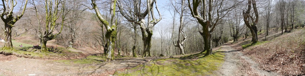 Domikoko lepoko pagadia