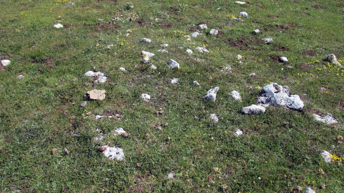 San Kristobal tumulua-1, Lezaun