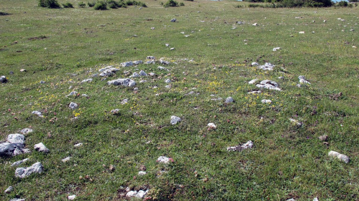 San Kristobal tumulua-2, Lezaun