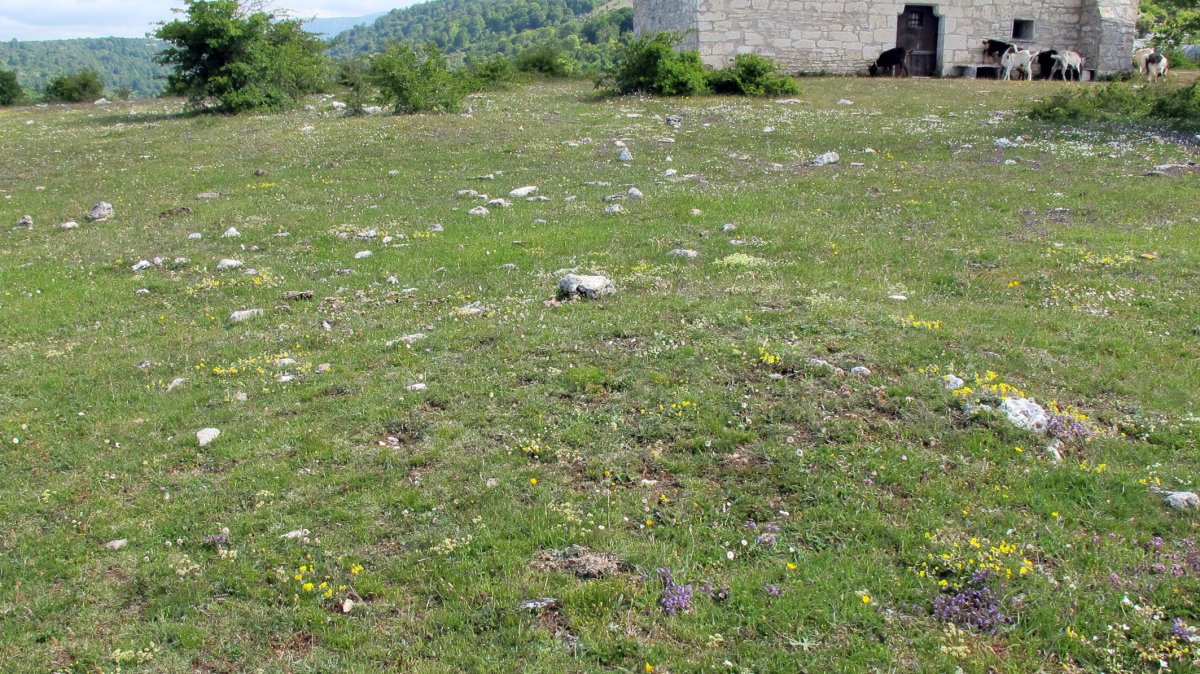 San Kristobal tumulua-4, Lezaun