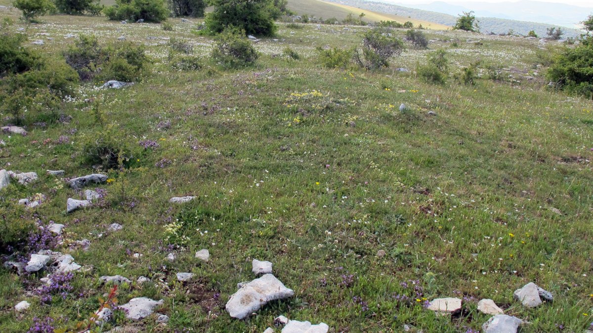 San Kristobal tumulua-5, Lezaun