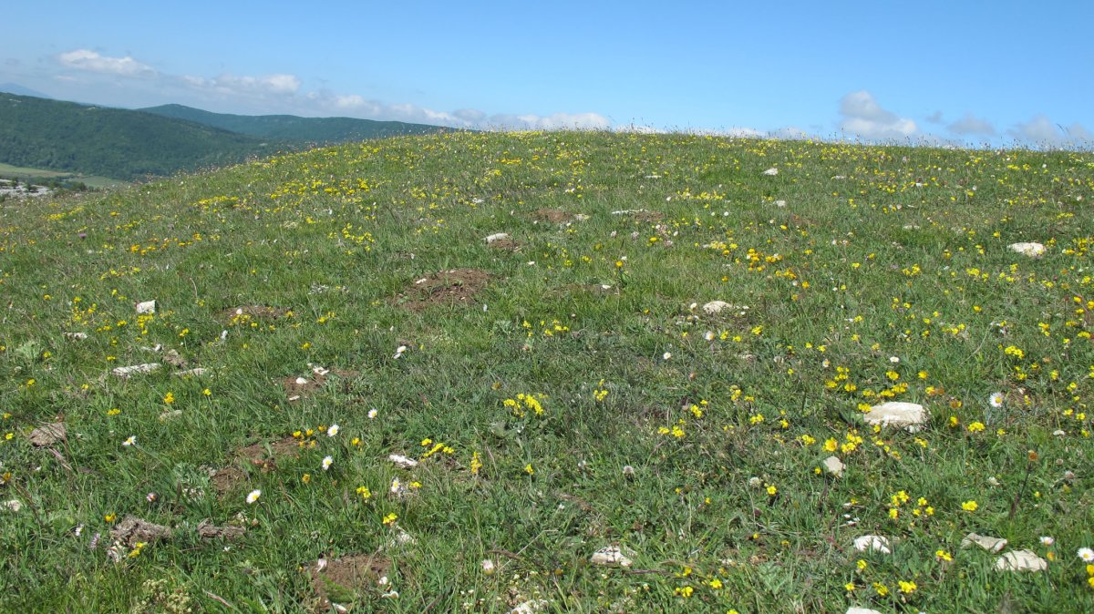 El Raso 2 etxola hondoa, Lezaun