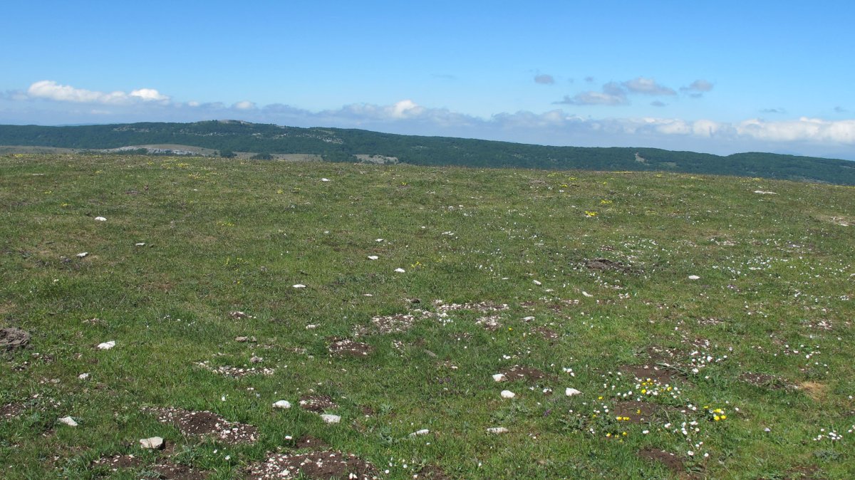 El Illarral 1 ipar eraztun-tumulua, Lezaun