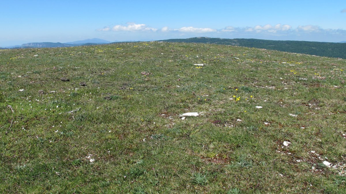 El Illarral tumulua, Lezaun
