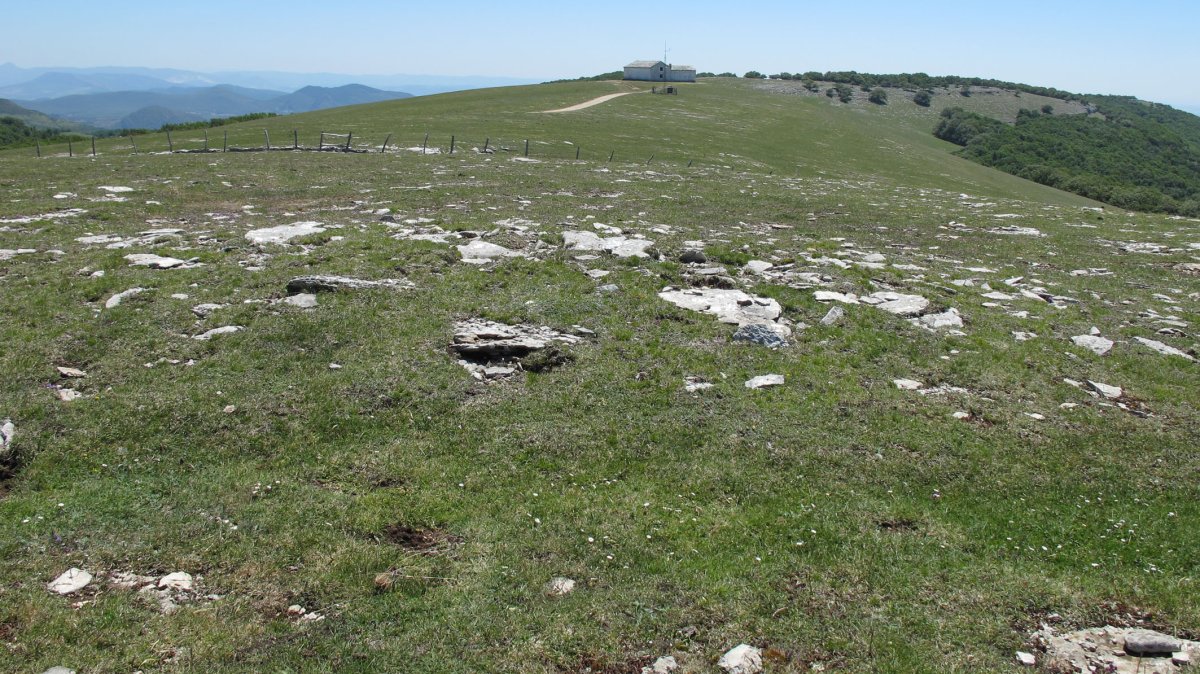 Artxubieta 1 hego tumulua, Andia