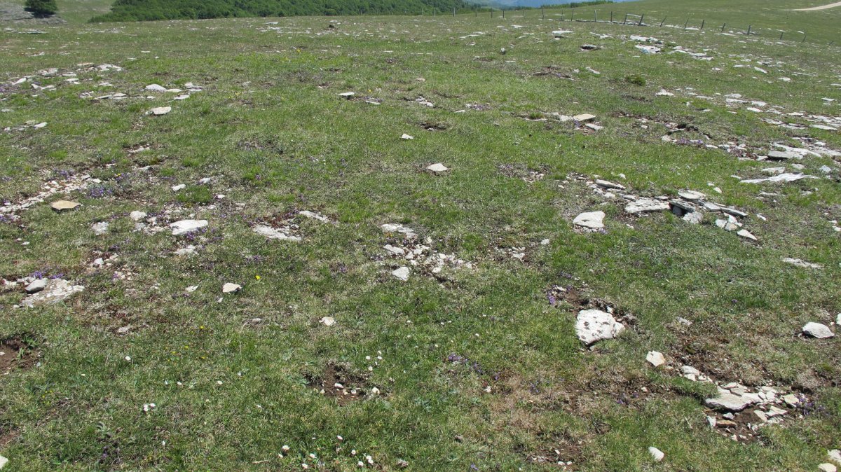 Artxurieta 2 erdi tumulua, Andia