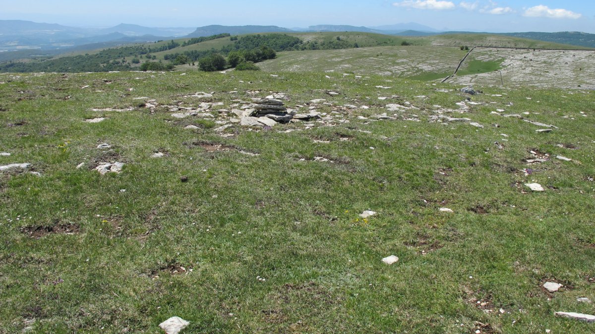 Artxurieta 3 ipar tumulua, Andia