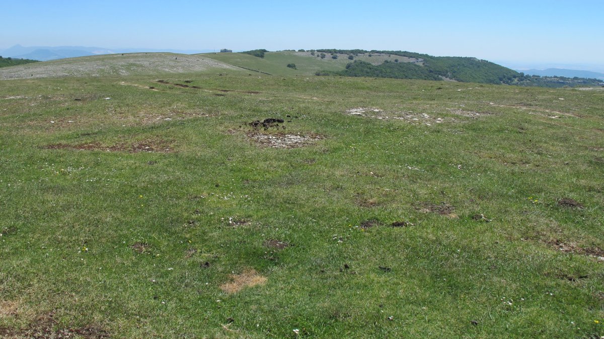 Maikaxko 1 hego eraztun-tumulua, Andia
