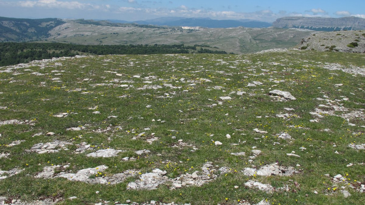 Malkaxko 3 eraztun-tumulua, Andia