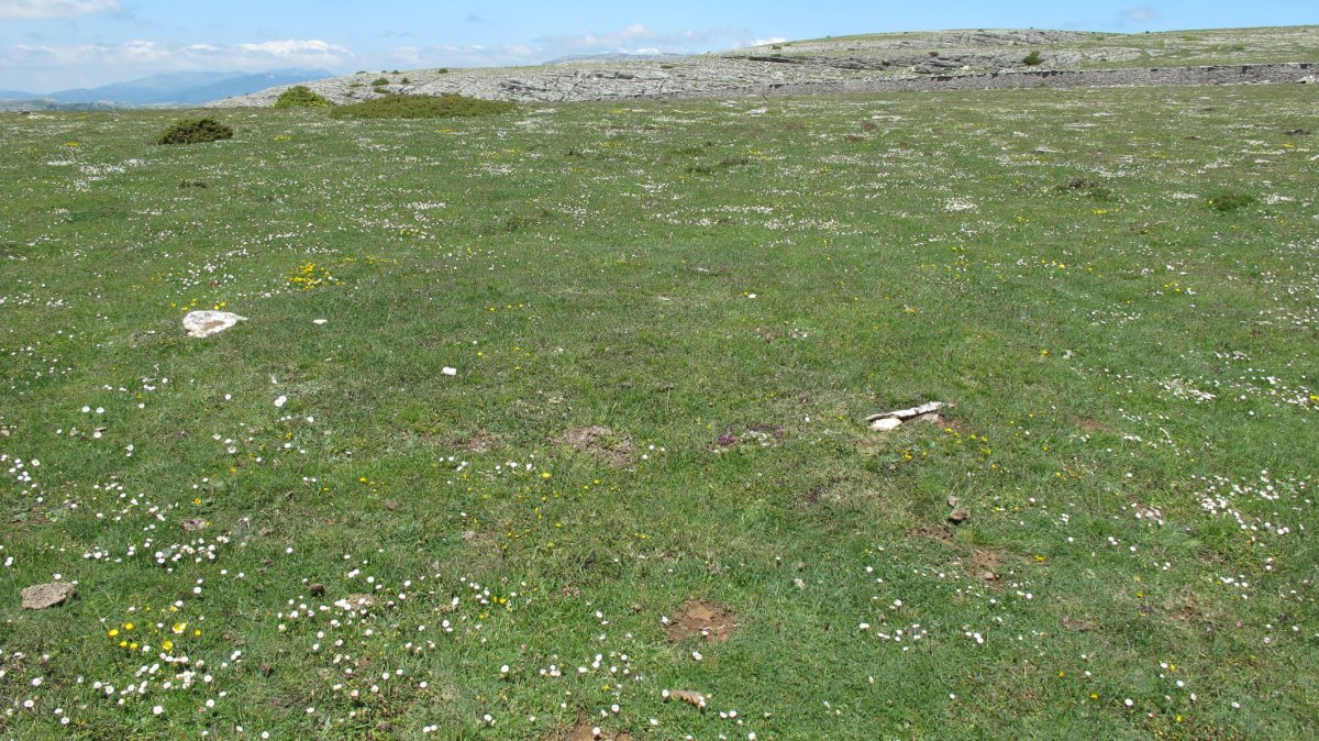 Malkaxko harrespila, Lezaun