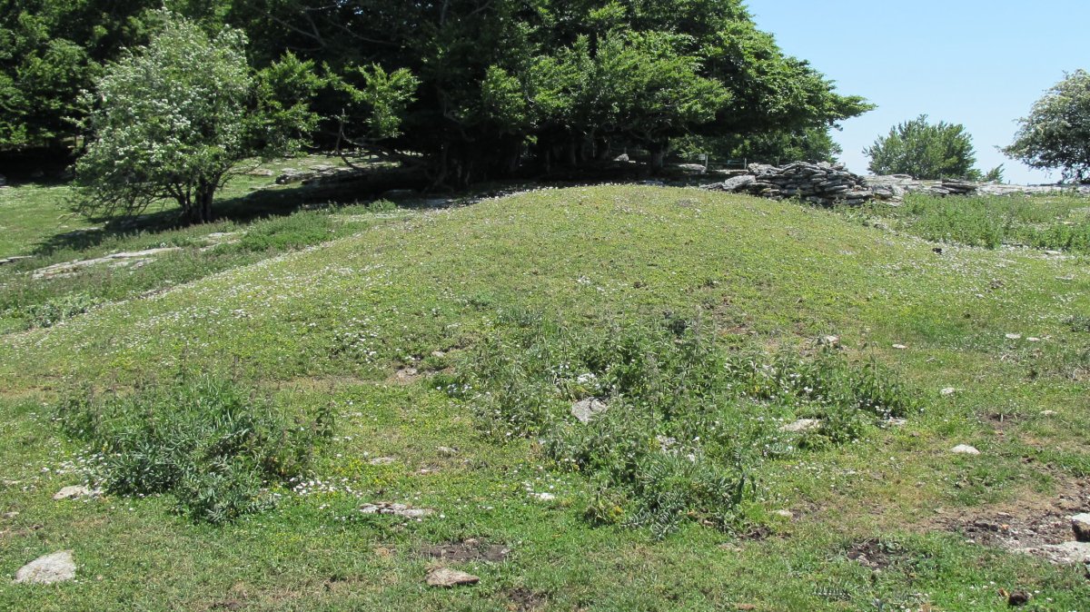 Salera etxola hondoa, Andia